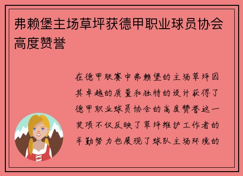 弗赖堡主场草坪获德甲职业球员协会高度赞誉 弗赖堡主场草坪获德甲职业球员协会高度赞誉